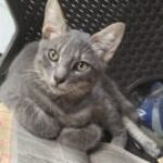 Foto de perfil de Carlos